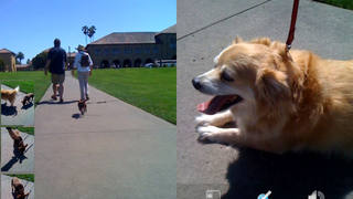 Snapture 2.0 Further Improves iPhone's Camera